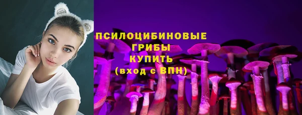 молекула духа Алексеевка