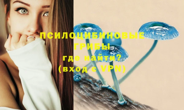 молекула духа Алексеевка