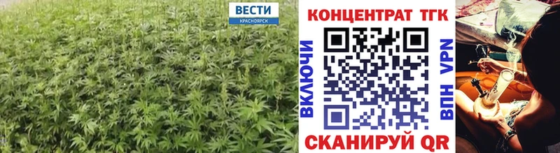 ТГК жижа  Бологое 