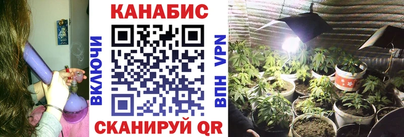 наркота  Бологое  Бошки марихуана OG Kush 